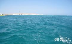 埃及紅海旅遊攻略之海水