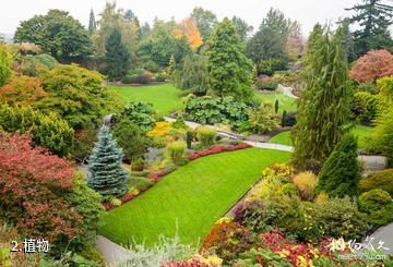 温哥华伊丽莎白女王公园-植物照片
