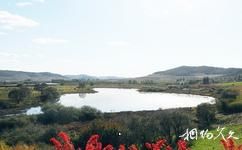 吉林雁鸣湖国家级自然保护区旅游攻略之湿地