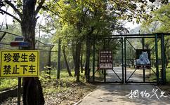 北京八达岭野生动物世界旅游攻略之野生动物游览区