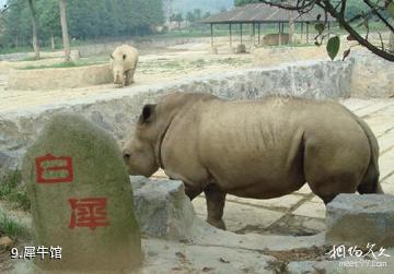 重庆野生动物世界-犀牛馆照片