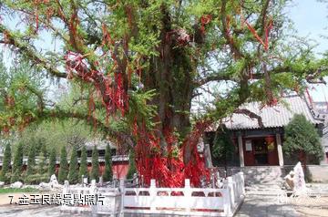 金寨大別山玉博園-金玉良緣照片