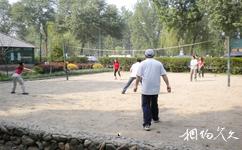 北京鵝和鴨農莊旅遊攻略之沙灘排球