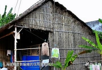 越南美拖鎮-海底椰莖幹編織的住所照片