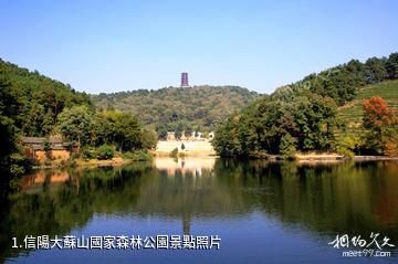 信陽大蘇山國家森林公園照片