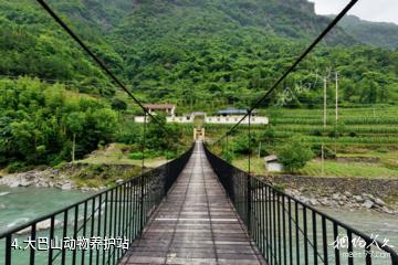 重庆城口亢谷风景区-大巴山动物养护站照片