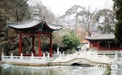 北京八大處公園旅遊攻略之魚池院