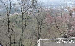 南京红山森林动物园旅游攻略之风景