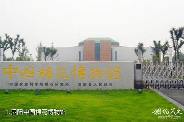 泗阳中国棉花博物馆照片