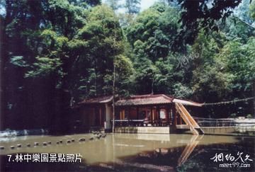 三明格氏栲國家森林公園-林中樂園照片