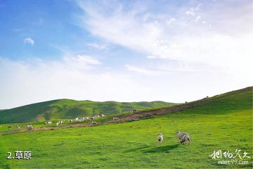 温宿帕克勒克景区-草原照片