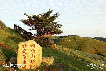 宜昌百里荒高山草原旅游区-山楂树之恋照片