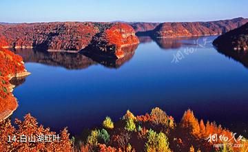 靖宇县白山湖景区-白山湖红叶照片