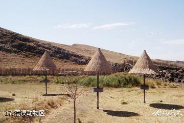 新疆天山野生动物园-荒漠动物区照片