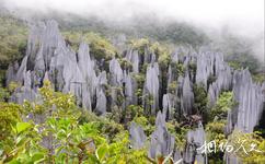 馬來西亞姆祿國家公園旅遊攻略之刀石林