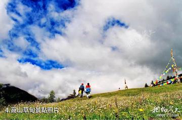 阿壩黑水三奧雪山景區-高山草甸照片