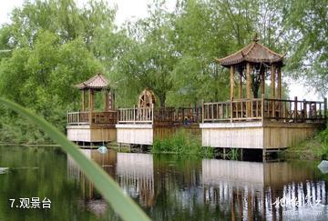 双鸭山安邦河湿地公园-观景台照片