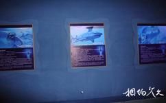 廣西北海海洋之窗旅遊攻略之科普展廳