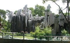 广州动物园旅游攻略之猩猩馆