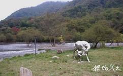 雅安喇叭河森林公园旅游攻略之雕塑