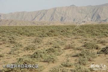 内蒙古西鄂尔多斯国家级自然保护区-棋盘井半日花核心区照片