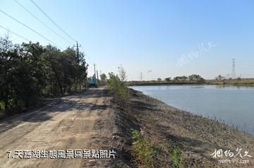 津南國家農業科技園-天嘉湖生態風景區照片
