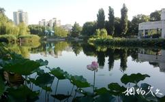 北京人定湖公園旅遊攻略之公園北部