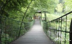 宜興陶祖聖境旅遊攻略之鐵索橋