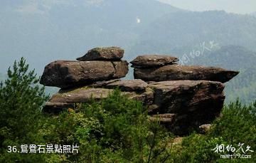 福建茫盪山風景區-鴛鴦石照片