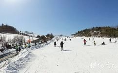 安吉天荒坪江南天池旅游攻略之冬季野外滑雪场