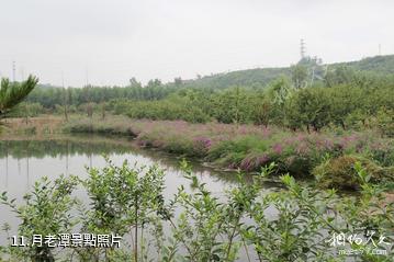 山西孝河國家濕地公園-月老潭照片