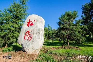 西安周至秦岭国家植物园-松园照片