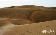 新疆图开沙漠旅游攻略之波纹