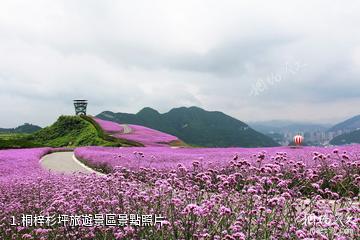 桐梓杉坪旅遊景區照片