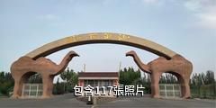 新和沙漠花海景區驢友相冊