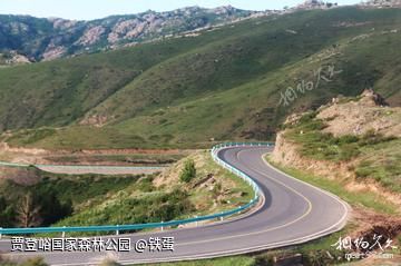 2004西域行记2--喀纳斯湖巡游.伊犁河谷省亲