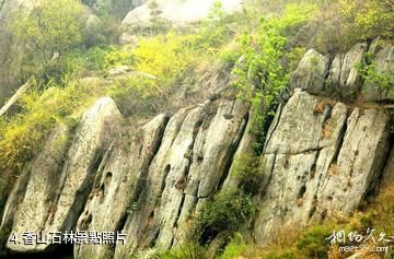濟南香山旅遊區-香山石林照片