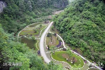 龙里中铁双龙镇巫山峡谷旅游景区-花海梯田照片