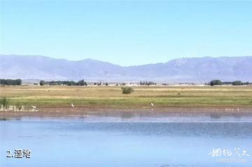 和布克赛尔国家湿地公园-湿地照片