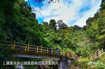 廣東天井山國家森林公園照片