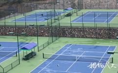 郴州龙女旅游攻略之网球中心