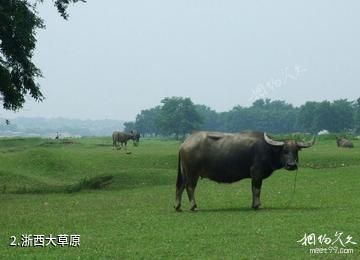 浙西大草原古名酒文化村-浙西大草原照片