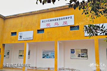 福建漳江口紅樹林國家級自然保護區-觀鳥屋照片