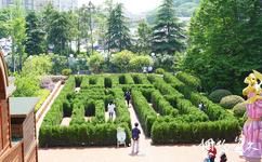 杭州烂苹果乐园旅游攻略之植物迷宫