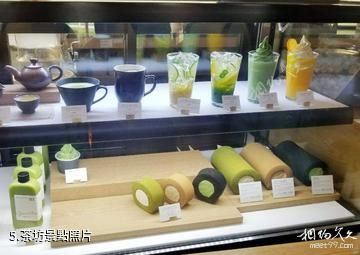 濟州島雪綠茶博物館-茶坊照片