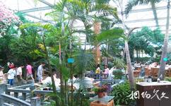 芜湖大浦乡村世界旅游攻略之生态美食园