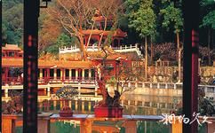 深圳仙湖植物园旅游攻略之盆景园