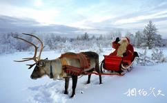 芬兰圣诞老人村旅游攻略之驯鹿雪橇