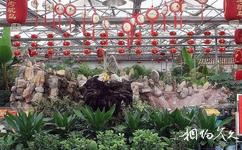 华阴鸵鸟王生态园旅游攻略之生态餐厅