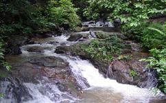 瑞丽莫里热带雨林旅游攻略之扎朵河